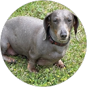 Cathy Marthers profile picture